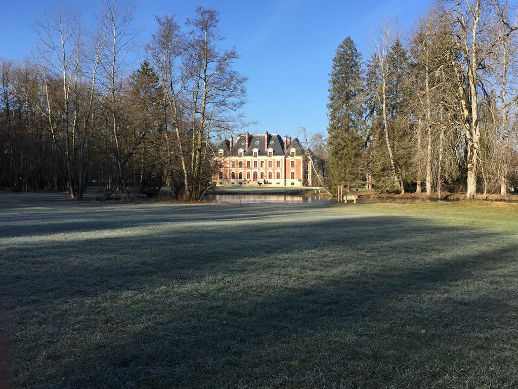 Bed and Breakfast Chateau Du Breuil à Gevrolles Extérieur photo